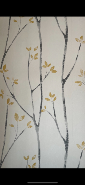 What's the most beautiful wallpaper you've seen?