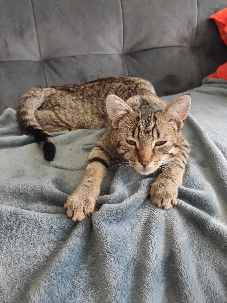 Meet Ralph