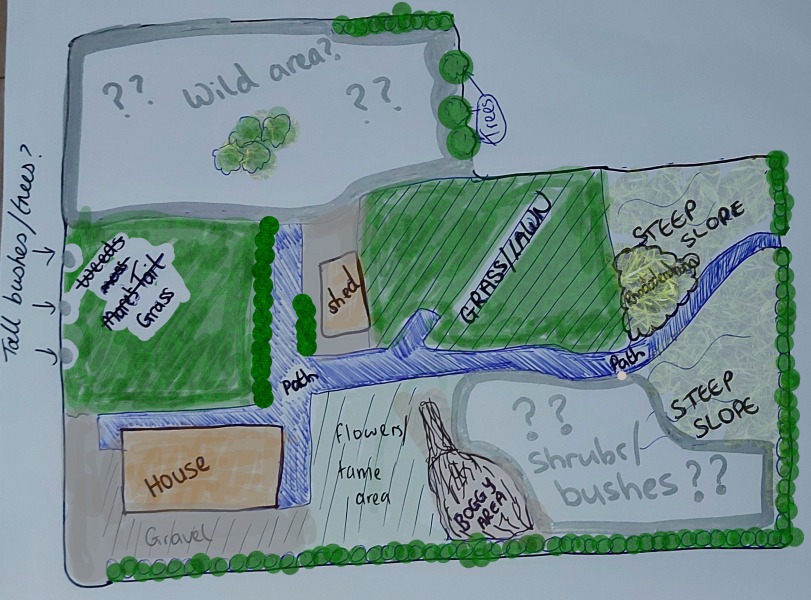Can you help plan my garden? Shrubs/ bushes? (Diagram)