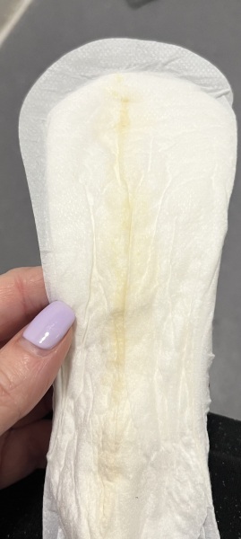 Could this be amniotic fluid?