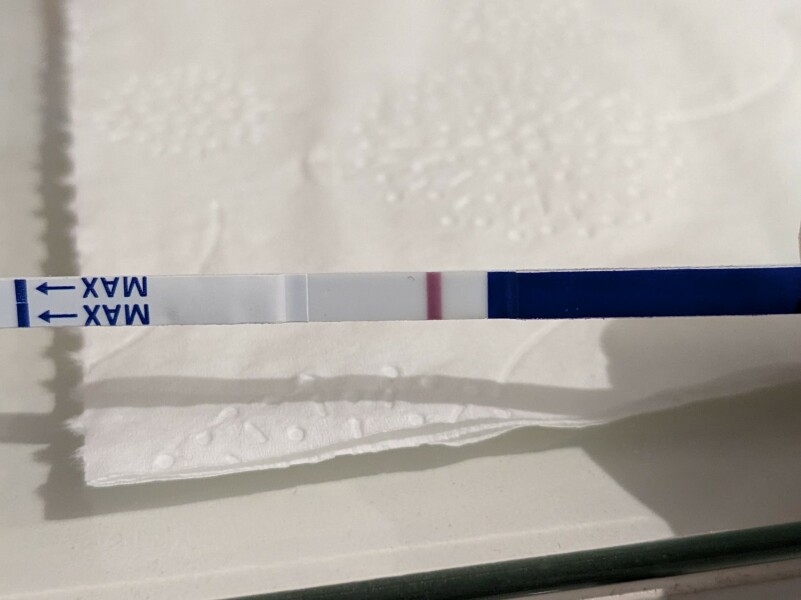 1dpo buddies