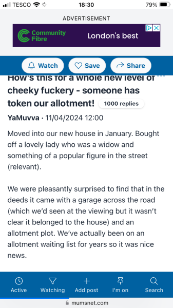 CF allotment thief part 3: The ‘plot’ thickens and auditions begin for the west end musical