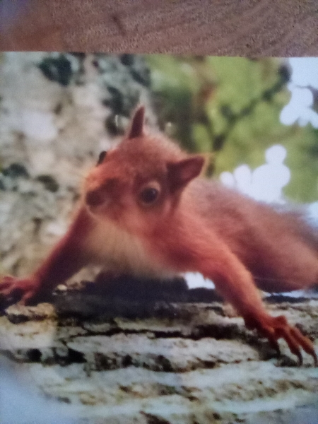 Stage 4 cancer... ? incurable? Thread #2 is here.  In memory of our inspiring, lovely mowly77