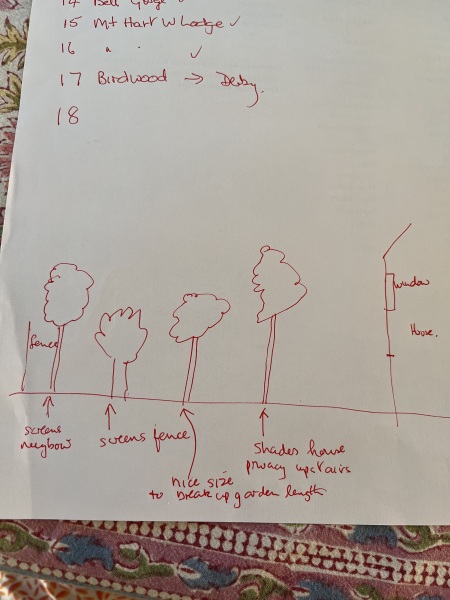 Garden design/planting