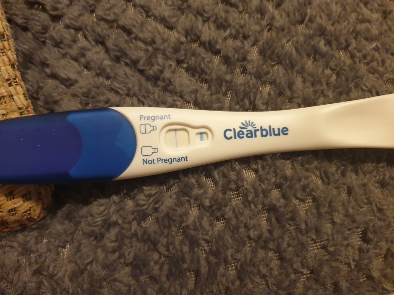 Clear blue test. Evap line or positive
