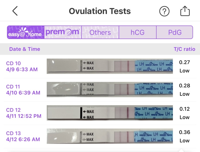 TTC May 2024 ✨❤️