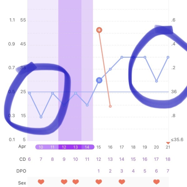 Implantation Dip OR Oestrogen Dip???