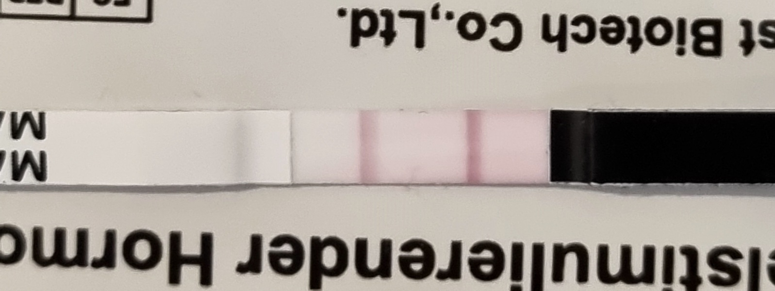 Positive FSH urine test?