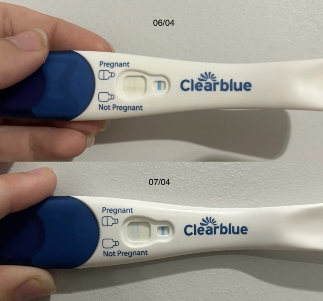 Clear blue test. Evap line or positive