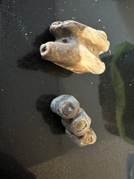Anyone fancy trying to identify these things I found by the Thames?
