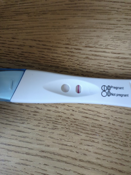 November 2024 Babies- Part 2!