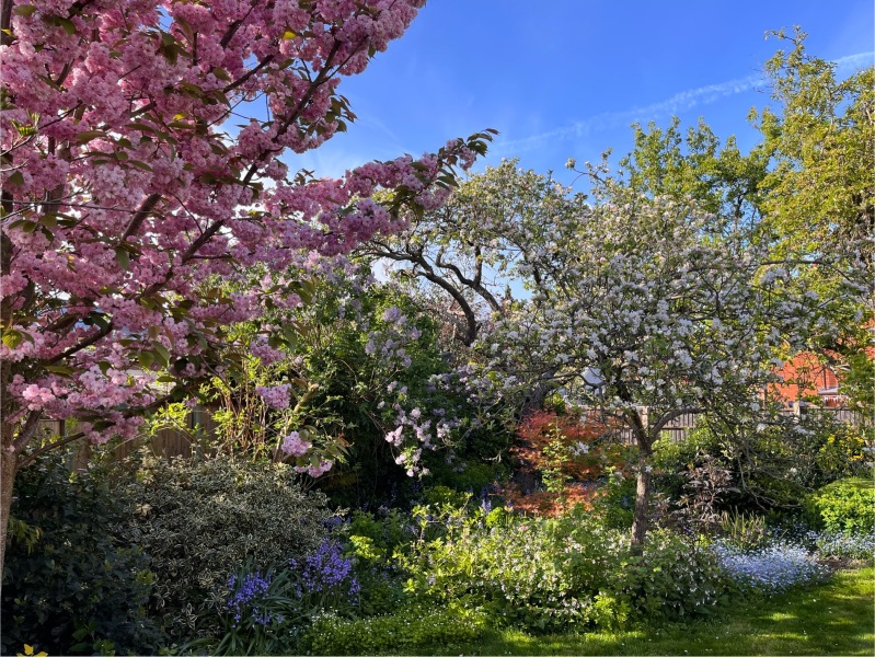 The Great Recovery part 2 - After Cancer treatment what next?