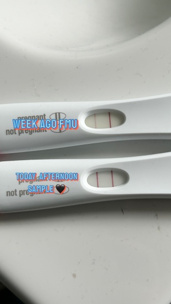 Dec-Christmas Babys 2024