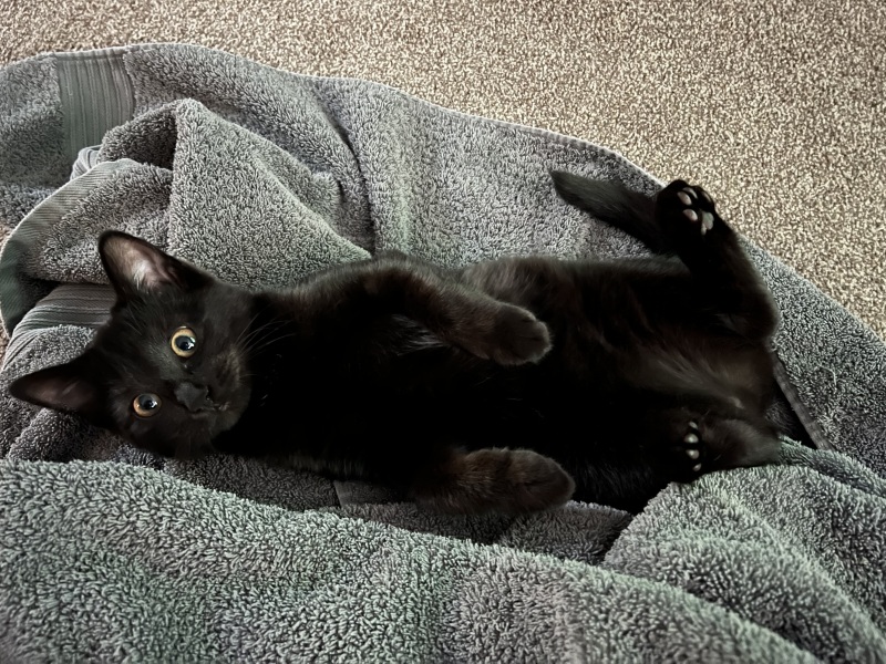 Meet Ralph