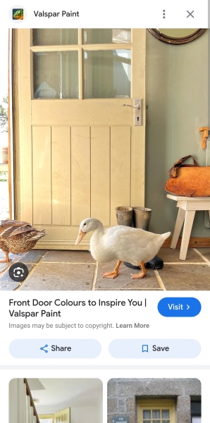 What colour would you paint this front door?