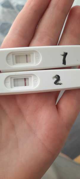 15 DPO. Is this line too faint?