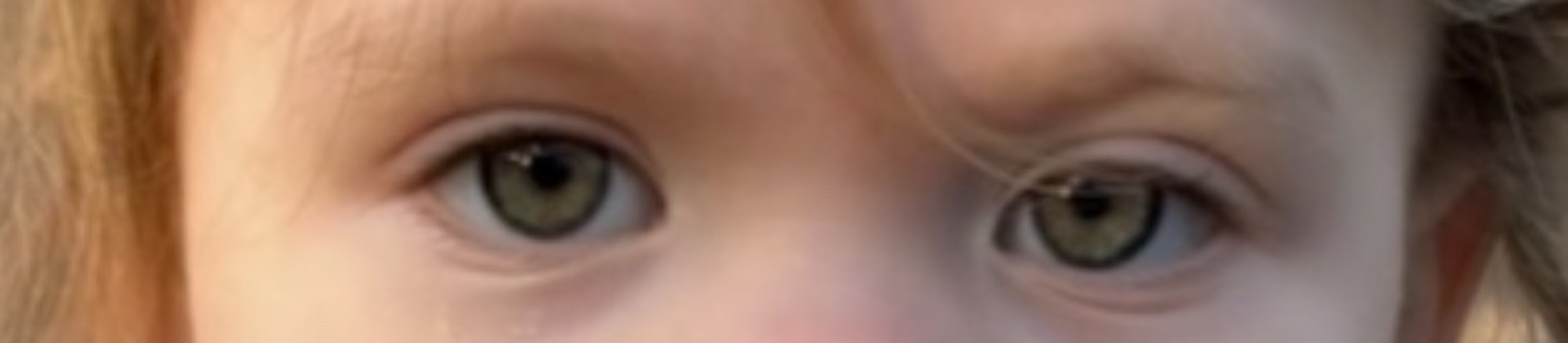 What colour would you say DD's eyes are?