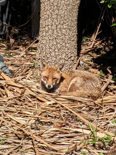 Come and tell me your dull and unexciting news 29: Calmly through the day