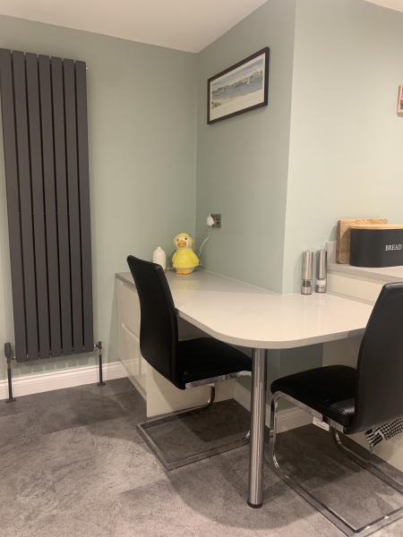 Opinions on this kitchen colour?