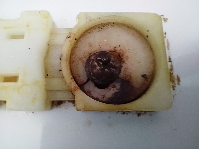 Replacing toilet seat
