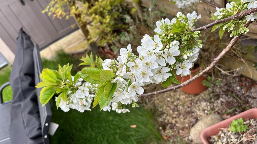 Come and tell me your dull and unexciting news 29: Calmly through the day