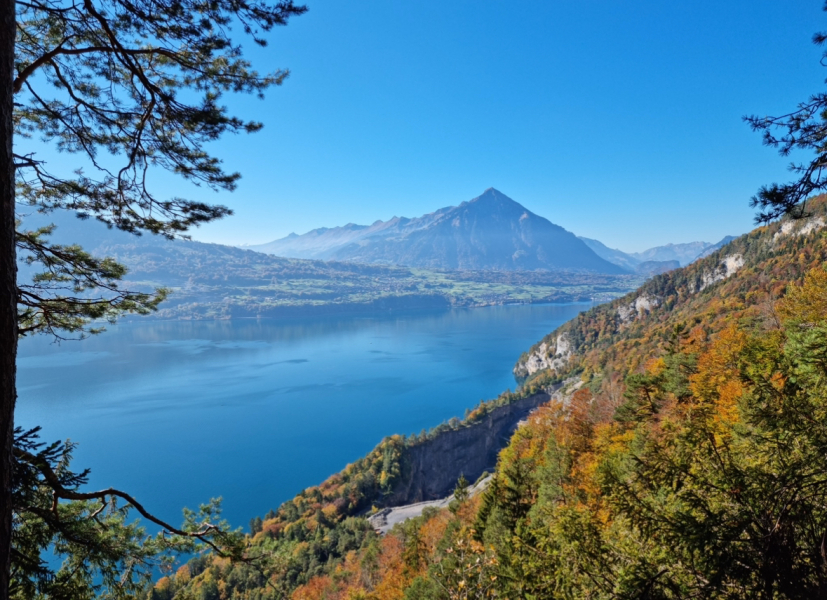 I want to go to Switzerland...