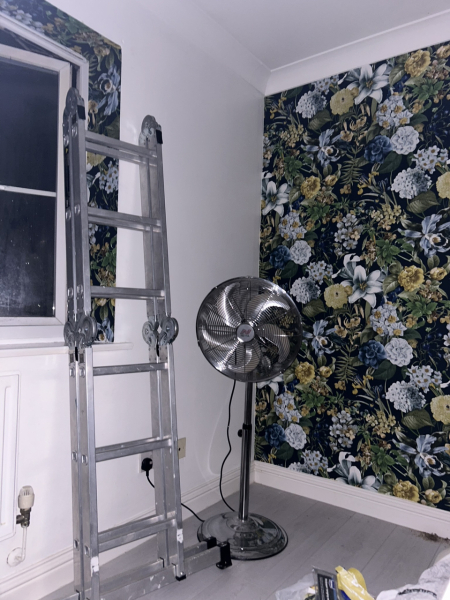 What's the most beautiful wallpaper you've seen?