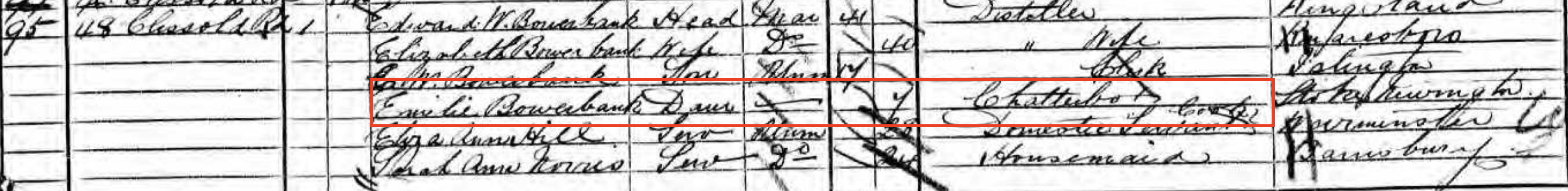 Interesting discoveries in your tree