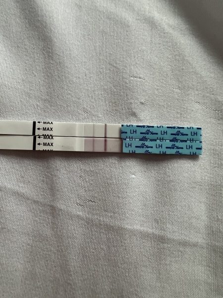 Pregnancy happening just before expected period?