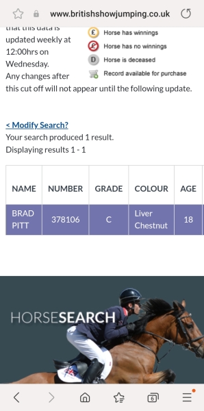 Good names for showjumping horses