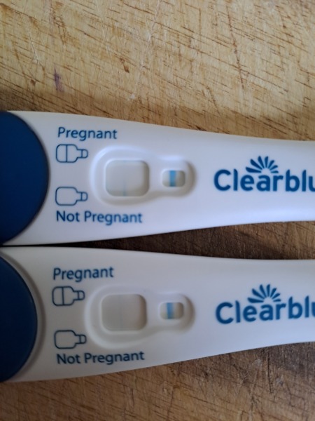 Clear blue test. Evap line or positive