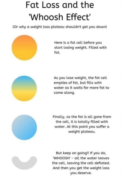 Continuing Mounjaro...part 5