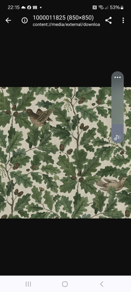 What's the most beautiful wallpaper you've seen?