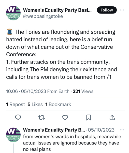 Anyone free for a Women's Equality Party hustings in Basingstoke (Hampshire)