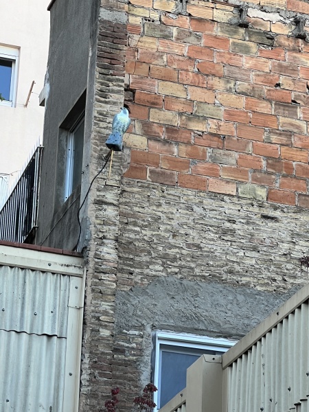 Plastic bird - camera or bird deterrent?