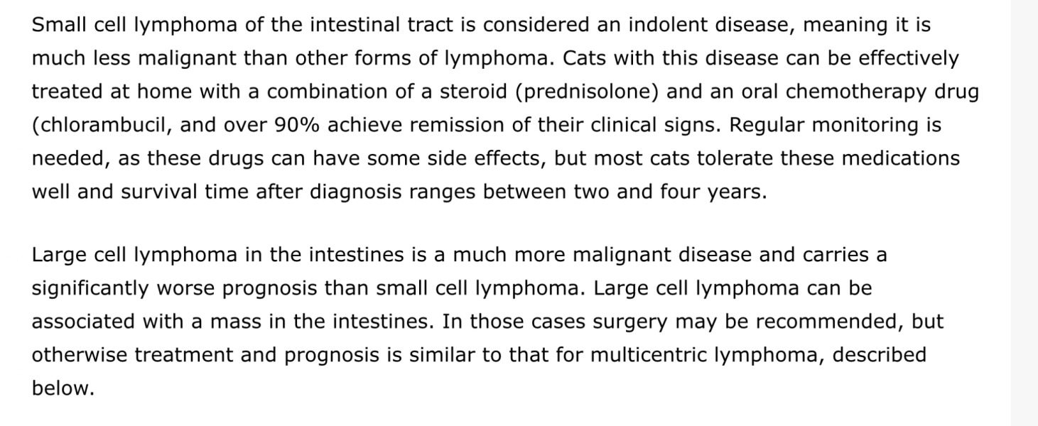Intestinal lymphoma