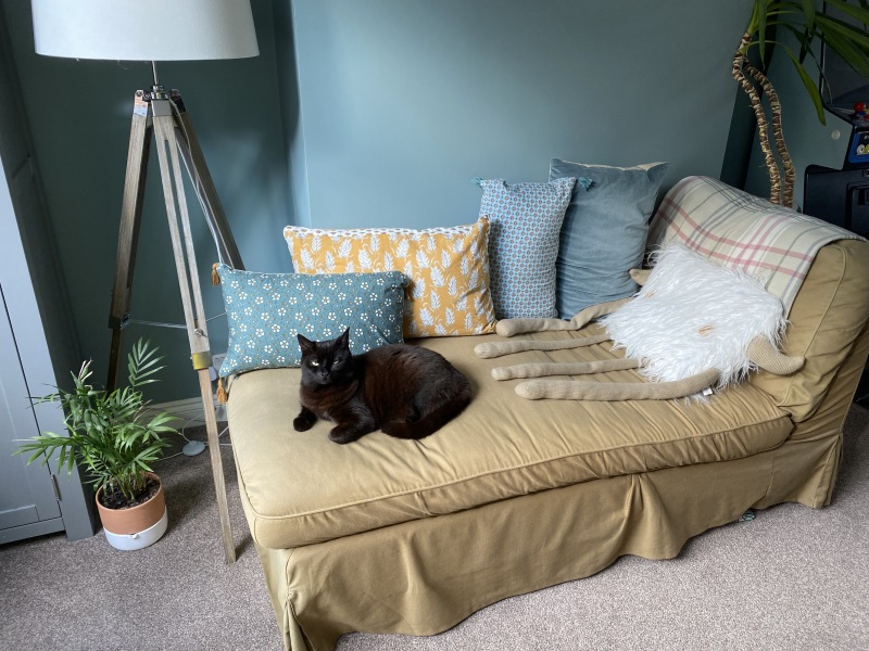Interior design masters s5 part 2 ‘Rise of the Bonk Ets’