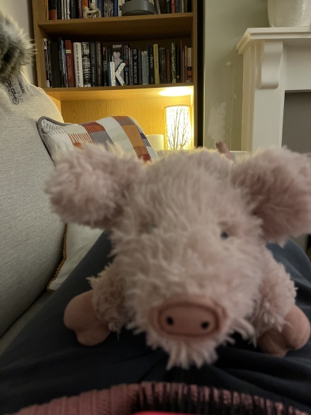 I'm an adult ... but I own a teddy bear! (Light-hearted (ish!))