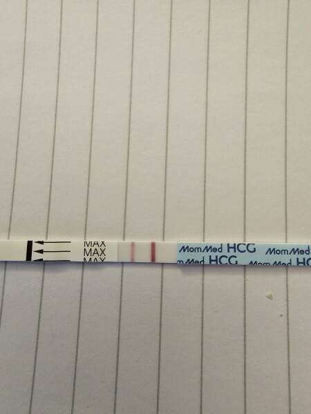 Dec-Christmas Babys 2024