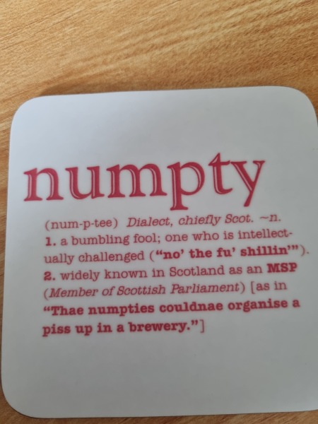 To ask what a 'numpty' is where you live and if it's offensive?