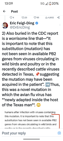Cow to cow H5N1