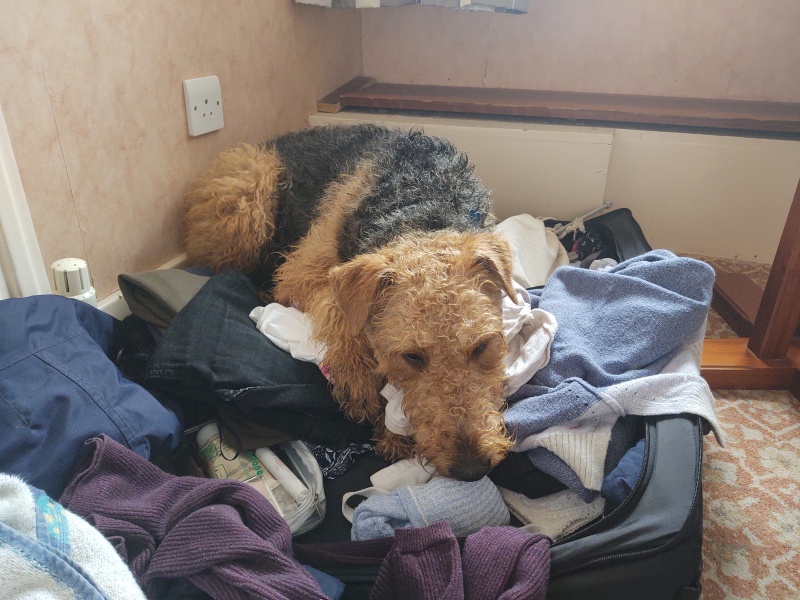 Stage 4 cancer... ? incurable? Thread #2 is here.  In memory of our inspiring, lovely mowly77