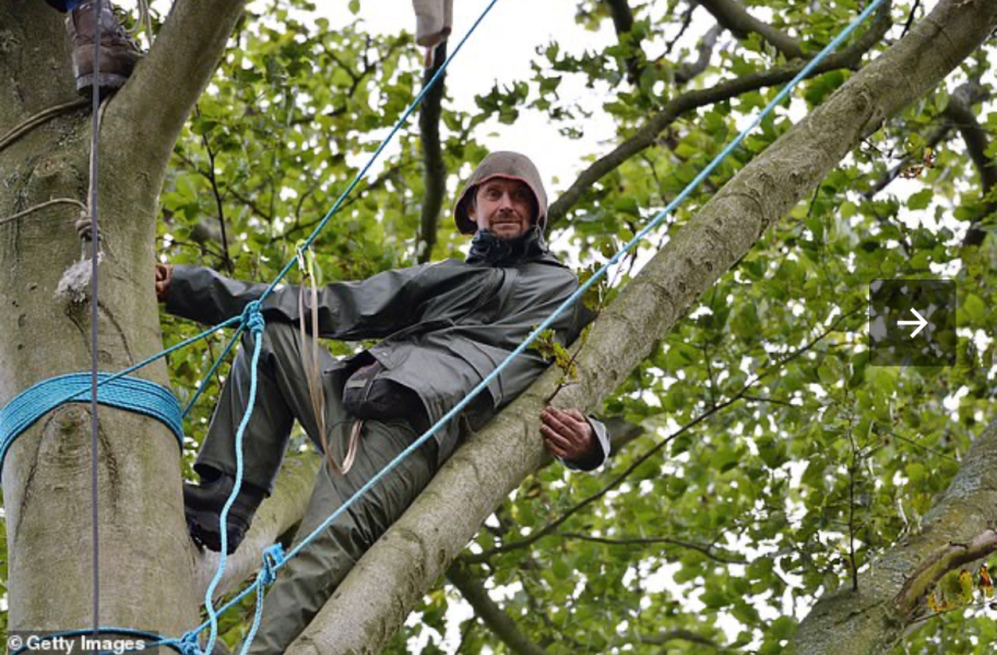 Someone threatened my allotment.