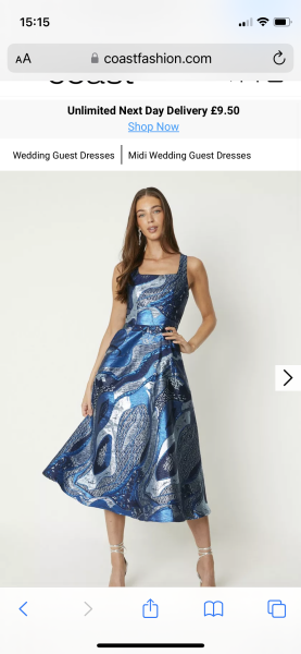 Anyone up for shopping- another wedding guest one…