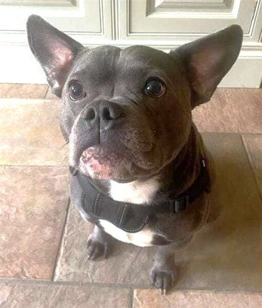 New April continuing thread for living an alcohol free life - all welcome