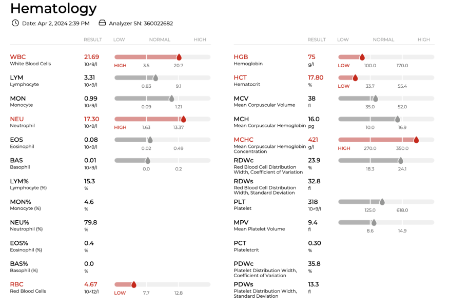 Can someone translate these cat blood results for me please?