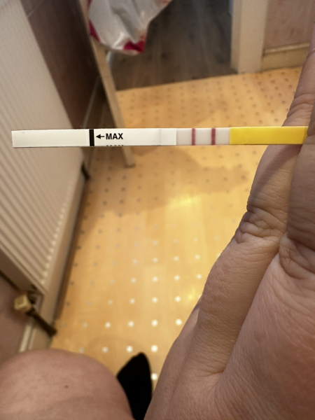 Pregnancy after loss support