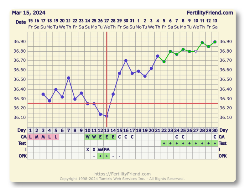 Looking for help with my bbt chart