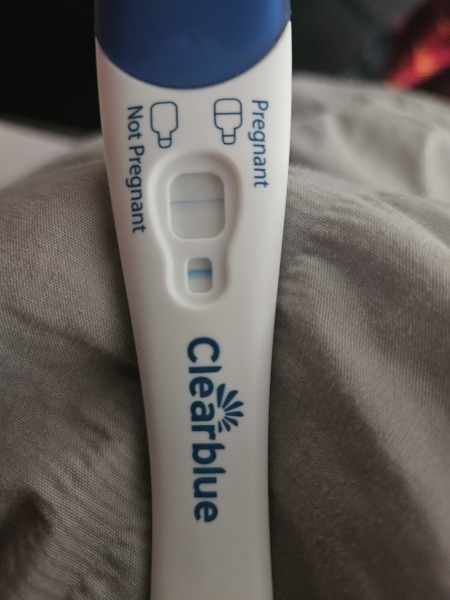 Clear blue test. Evap line or positive