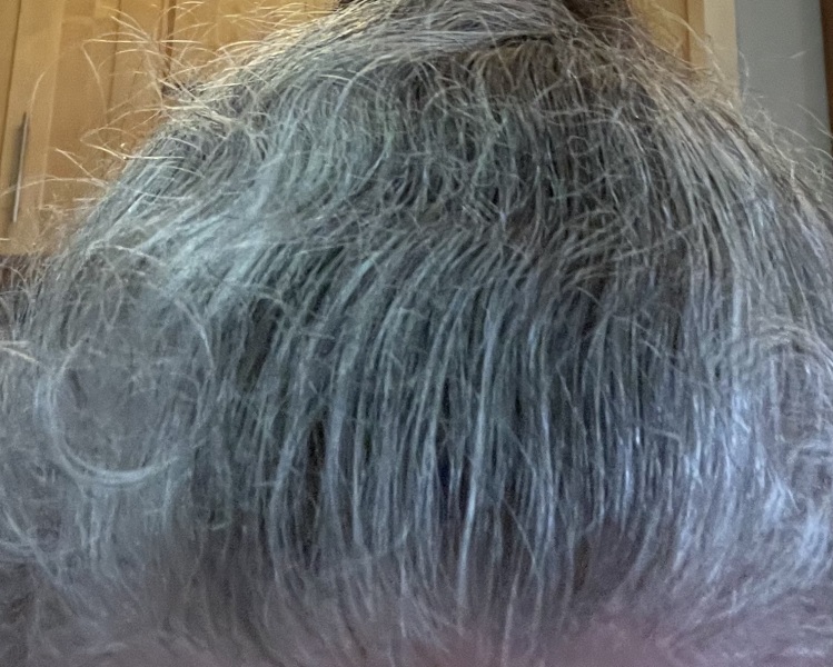 Grey hair inspiration wanted